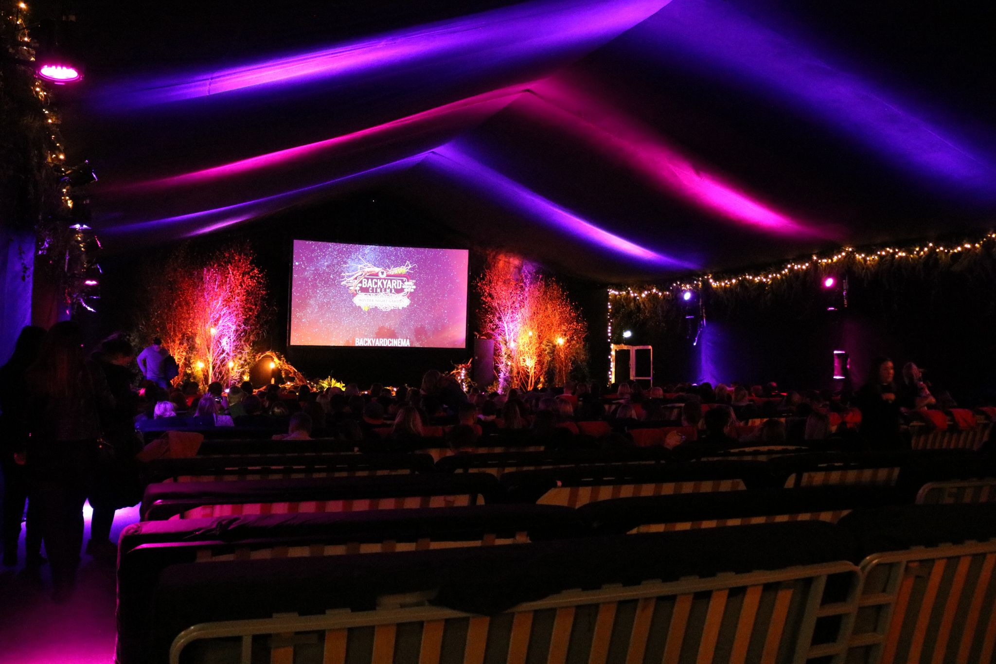backyard cinema