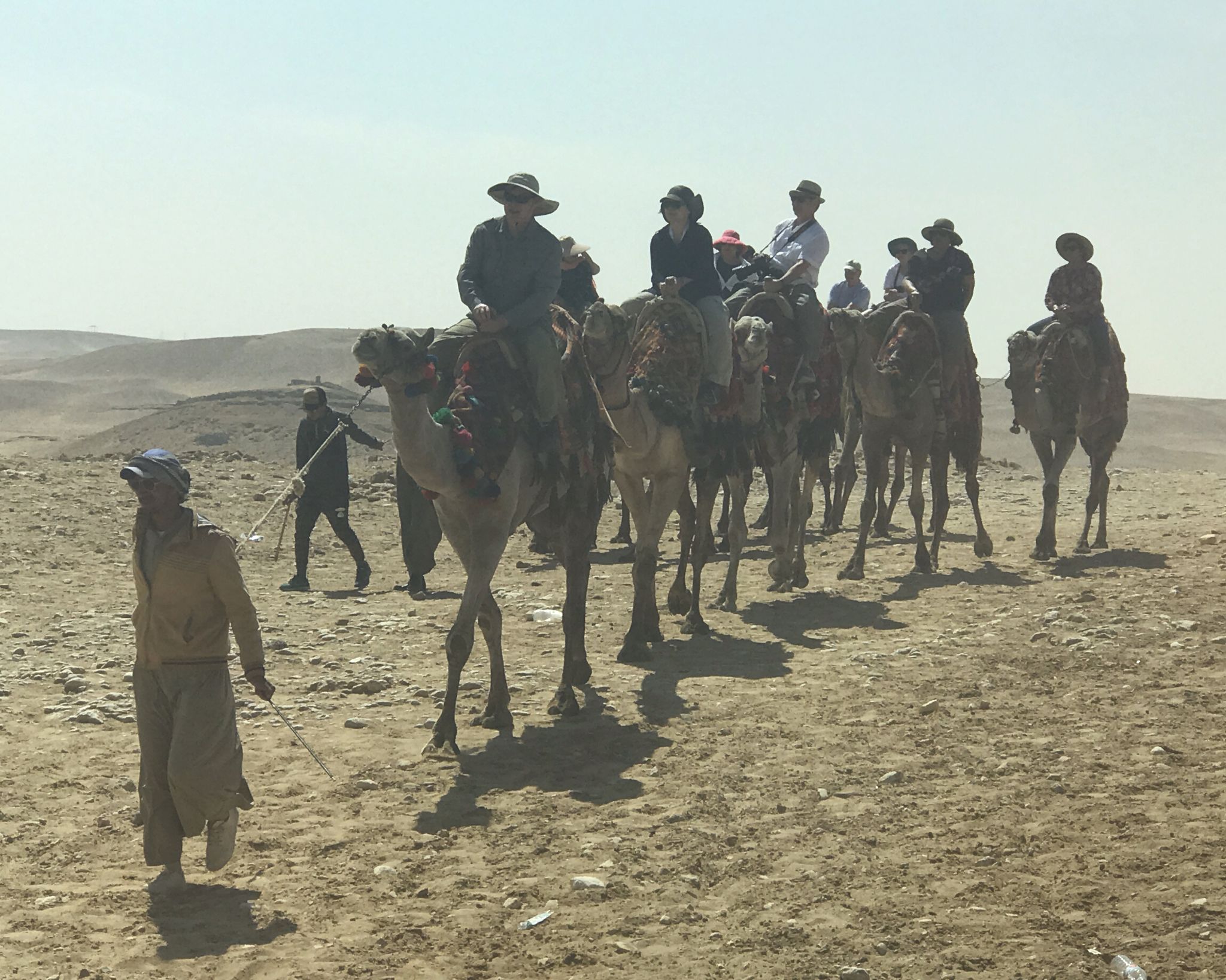 Camel riders