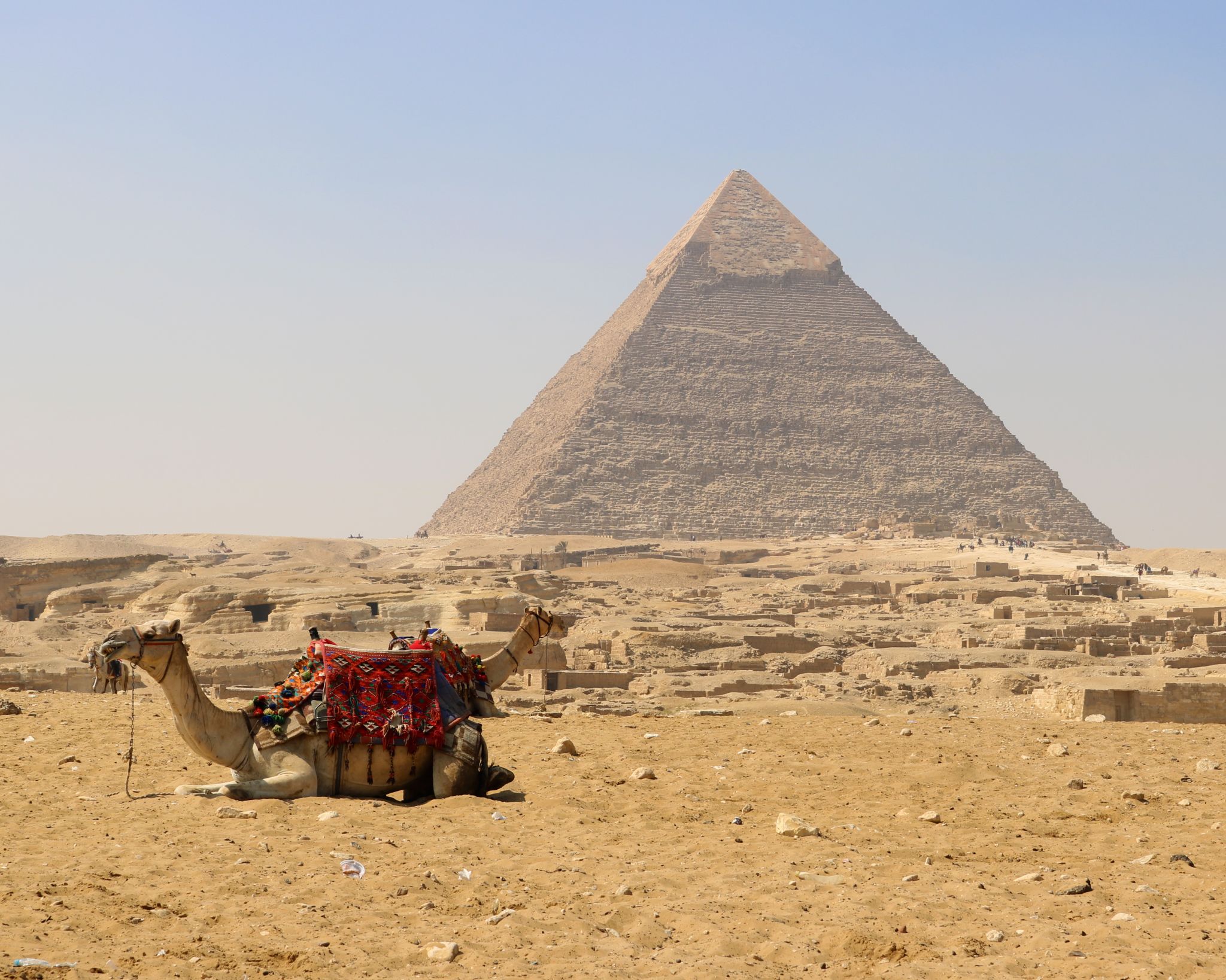 Camels next to Pyramid