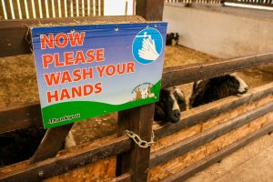 Windmill Animal Farm safety