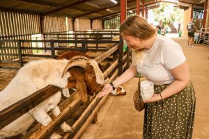 A safe and socially distanced family day out to Windmill Farm