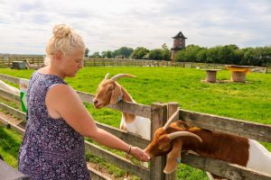 A safe and socially distanced family day out to Windmill Farm