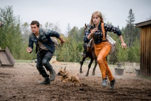 Chaos-Walking