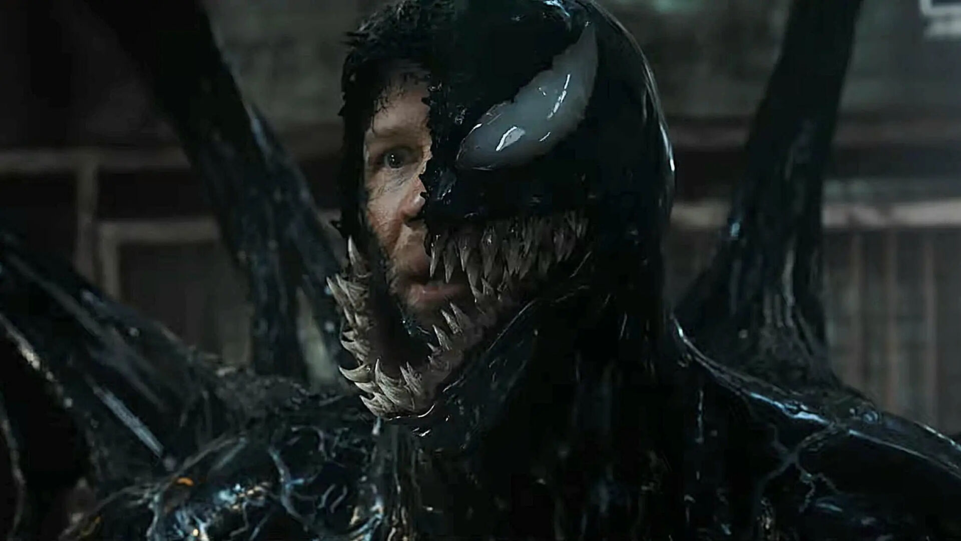 Venom The Last Dance TashonTelly 1